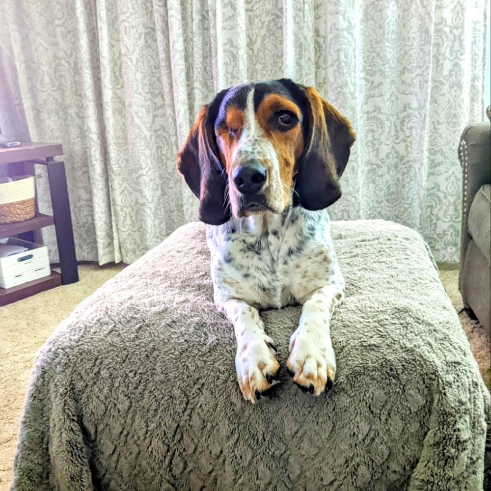 Meet your Posher, Mercedes
